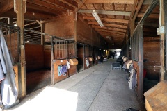 Equestrian_08sm