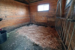 Equestrian_09sm