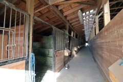 Equestrian_10sm