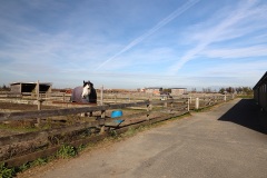 Equestrian_11sm
