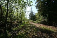 SouthSurryStudios013sm