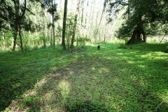 SouthSurryStudios014sm