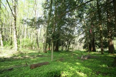 SouthSurryStudios015sm