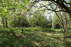 SouthSurryStudios016sm