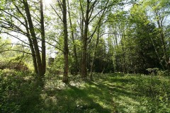 SouthSurryStudios017sm