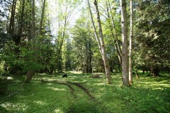 SouthSurryStudios018sm