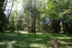 SouthSurryStudios019sm