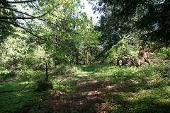 SouthSurryStudios020sm