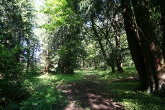 SouthSurryStudios021sm