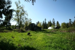 SouthSurryStudios022sm