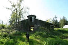 SouthSurryStudios023sm