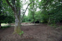 SouthSurryStudios030sm